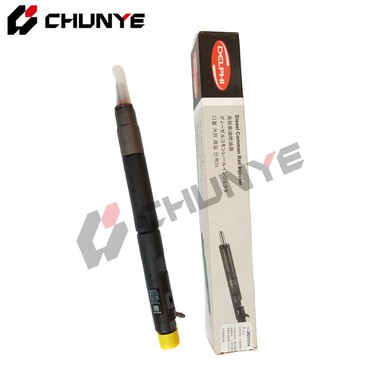 Delphi Fuel Injector